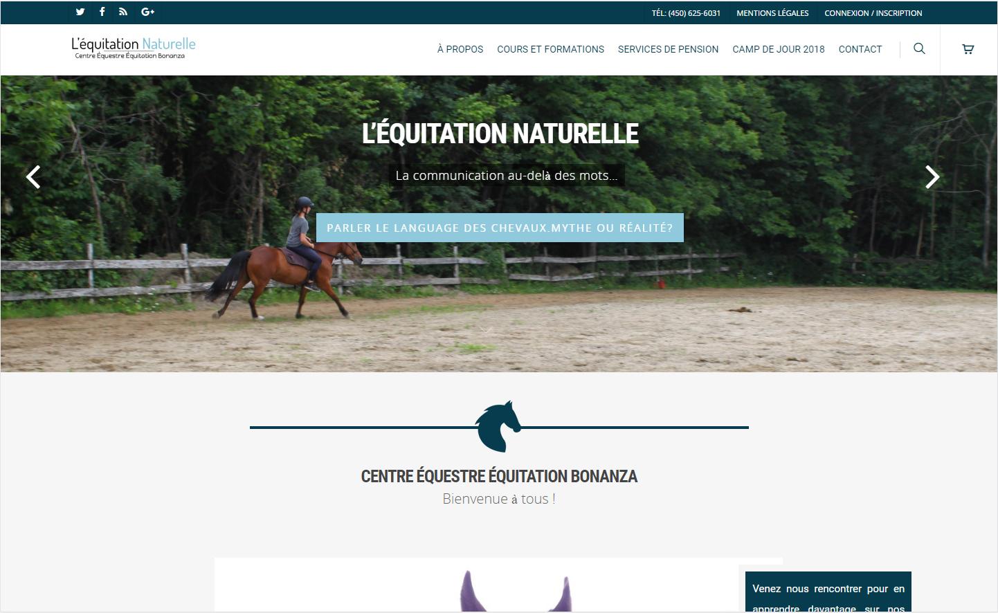 Protai-in : Agence web au cameroun - Equitation