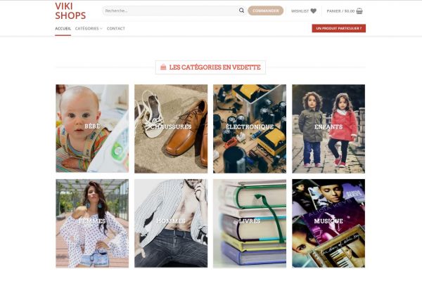 Agence web - Marketing digital - création site web - Protai-in - Vikishops