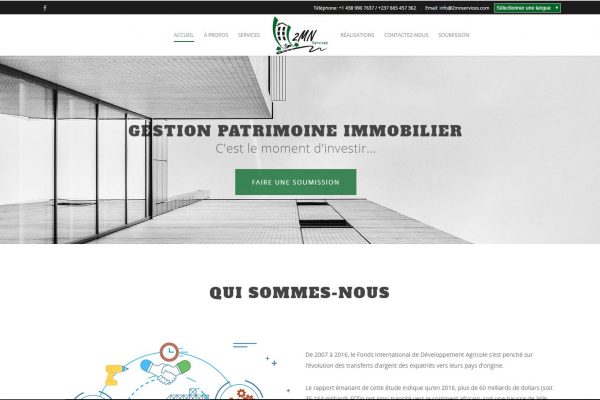 2mnservices -protaiin agence web cameroun-douala-montreal