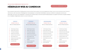 hébergeurs web au Cameroun-Douala